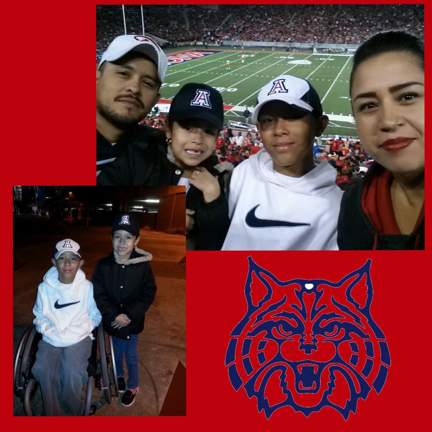 We Love Our Wildcats
